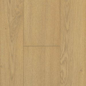 Silva Oak